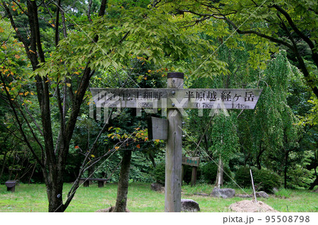半原越えの林道に設置された登山道の標識板 半原越えの林道に設置された登山道の標識板 95508798