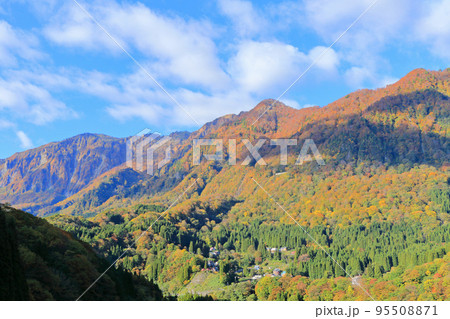 秋山郷の秋 紅葉の山と屋敷集落 95508871