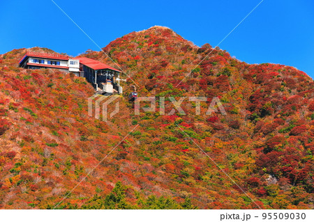 【長崎県】晴天の仁田峠の紅葉（雲仙岳） 95509030