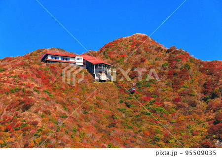 【長崎県】晴天の仁田峠の紅葉(雲仙岳) 【長崎県】晴天の仁田峠の紅葉(雲仙岳) 95509035