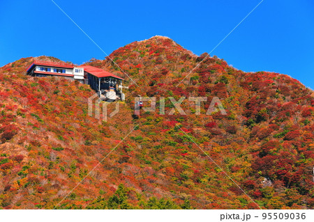 【長崎県】晴天の仁田峠の紅葉(雲仙岳) 【長崎県】晴天の仁田峠の紅葉(雲仙岳) 95509036
