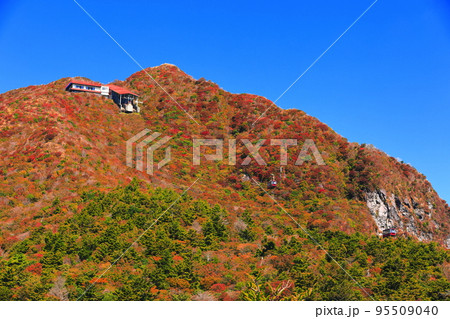 【長崎県】晴天の仁田峠の紅葉(雲仙岳) 【長崎県】晴天の仁田峠の紅葉(雲仙岳) 95509040