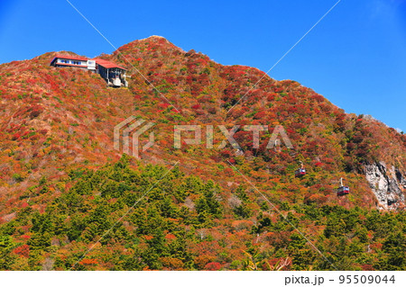 【長崎県】晴天の仁田峠の紅葉(雲仙岳) 【長崎県】晴天の仁田峠の紅葉(雲仙岳) 95509044