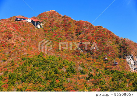 【長崎県】晴天の仁田峠の紅葉（雲仙岳） 95509057
