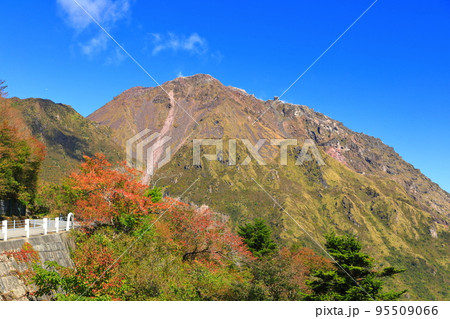 【長崎県】晴天の仁田峠第二展望所から見た平成新山(雲仙岳) 【長崎県】晴天の仁田峠第二展望所から見た平成新山(雲仙岳) 95509066
