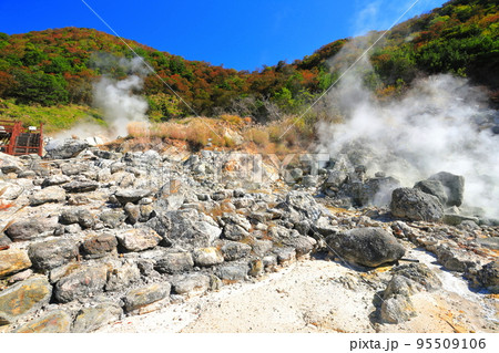 【長崎県】晴天の紅葉の雲仙地獄(大叫喚地獄) 【長崎県】晴天の紅葉の雲仙地獄(大叫喚地獄) 95509106