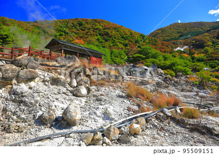 【長崎県】晴天の紅葉の雲仙地獄（お糸地獄） 95509151