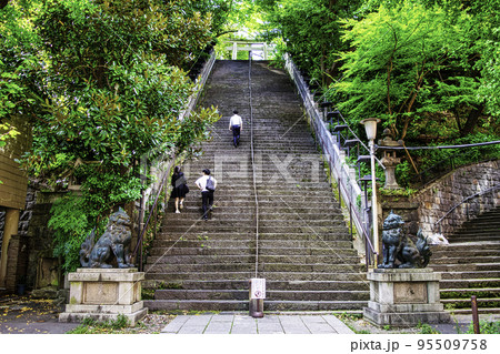 東京都 愛宕神社(あたごじんじゃ) 出世の石段 東京都 愛宕神社(あたごじんじゃ) 出世の石段 95509758