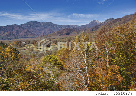 笹ヶ峰高原の美しい紅葉と焼山 新潟県妙高市 笹ヶ峰高原の美しい紅葉と焼山 新潟県妙高市 95510375