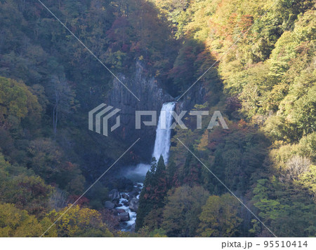 紅葉の苗名滝 新潟県妙高市(ドローンによる空撮) 紅葉の苗名滝 新潟県妙高市(ドローンによる空撮) 95510414