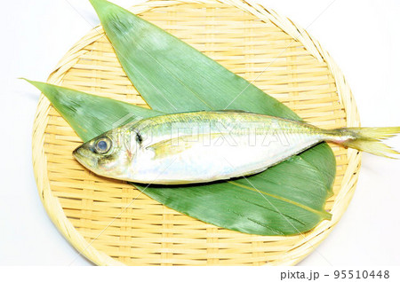黄金あじ 黄金あじ 95510448