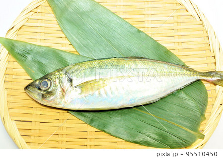 黄金あじ 95510450