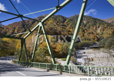 扇沢の壮大で美しい紅葉　長野県大町市 95510635
