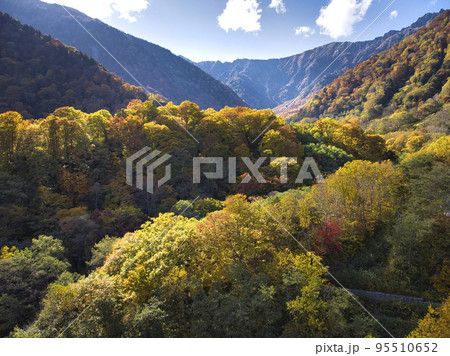 扇沢の壮大で美しい紅葉 長野県大町市(ドローンによる空撮) 扇沢の壮大で美しい紅葉 長野県大町市(ドローンによる空撮) 95510652