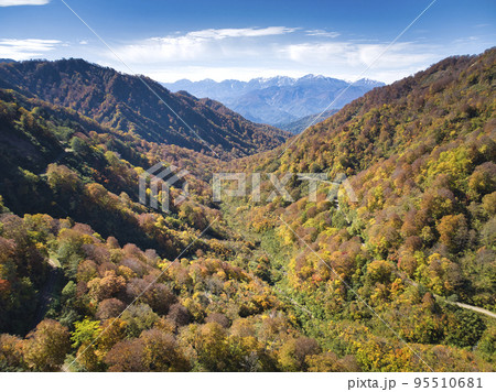 妙高小谷林道の美しい紅葉と後立山連峰 長野県小谷村(ドローンによる空撮) 妙高小谷林道の美しい紅葉と後立山連峰 長野県小谷村(ドローンによる空撮) 95510681