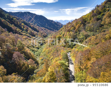 妙高小谷林道の美しい紅葉と後立山連峰 長野県小谷村(ドローンによる空撮) 妙高小谷林道の美しい紅葉と後立山連峰 長野県小谷村(ドローンによる空撮) 95510686