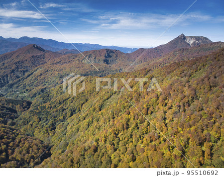 妙高小谷林道の美しい紅葉と後立山連峰・雨飾山 長野県小谷村(ドローンによる空撮) 妙高小谷林道の美しい紅葉と後立山連峰・雨飾山 長野県小谷村(ドローンによる空撮) 95510692