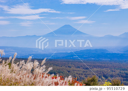 (長野県)ススキと紅葉が美しい・富士見高原リゾート 富士山遠望 (長野県)ススキと紅葉が美しい・富士見高原リゾート 富士山遠望 95510729