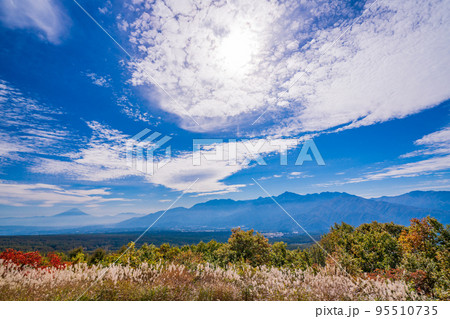（長野県）ススキと紅葉が美しい・富士見高原リゾート　富士山遠望 95510735