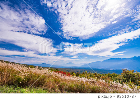 (長野県)ススキと紅葉が美しい・富士見高原リゾート 富士山遠望 (長野県)ススキと紅葉が美しい・富士見高原リゾート 富士山遠望 95510737