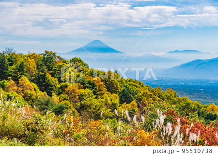 （長野県）ススキと紅葉が美しい・富士見高原リゾート　富士山遠望 95510738