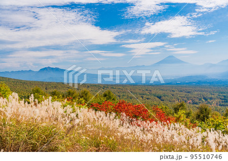 (長野県)ススキと紅葉が美しい・富士見高原リゾート 富士山遠望 (長野県)ススキと紅葉が美しい・富士見高原リゾート 富士山遠望 95510746