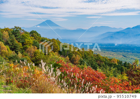 （長野県）ススキと紅葉が美しい・富士見高原リゾート　富士山遠望 95510749