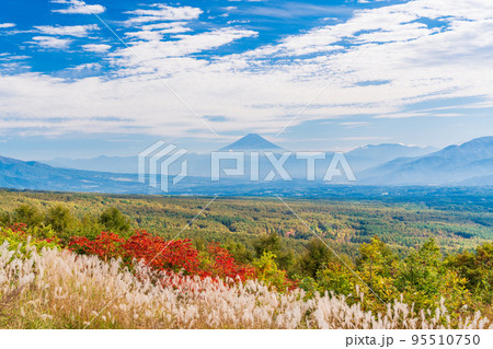 （長野県）ススキと紅葉が美しい・富士見高原リゾート　富士山遠望 95510750