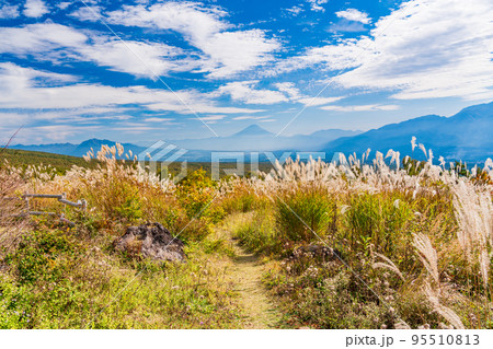 （長野県）富士見高原リゾートのススキと富士山遠望 95510813