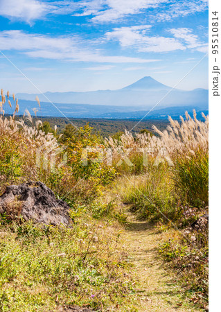 (長野県)富士見高原リゾートのススキと富士山遠望 (長野県)富士見高原リゾートのススキと富士山遠望 95510814