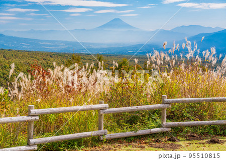 (長野県)富士見高原リゾートのススキと富士山遠望 (長野県)富士見高原リゾートのススキと富士山遠望 95510815