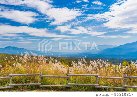 （長野県）富士見高原リゾートのススキと富士山遠望 95510817