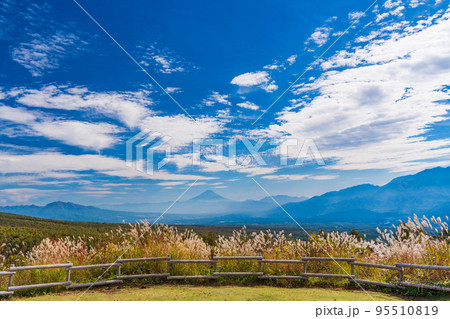 （長野県）富士見高原リゾートのススキと富士山遠望 95510819