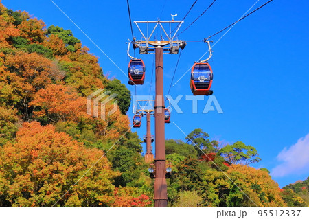 神戸布引ハーブ園（神戸市中央区）の紅葉 95512337