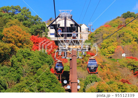 神戸布引ハーブ園(神戸市中央区)の紅葉 神戸布引ハーブ園(神戸市中央区)の紅葉 95512339