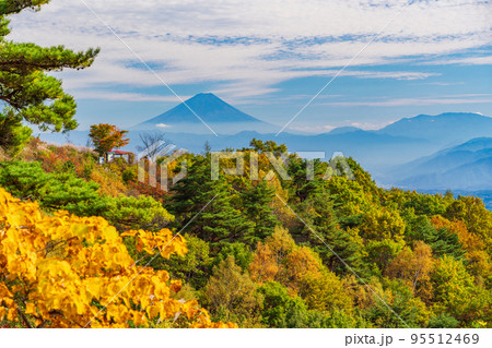 （長野県）紅葉が美しい富士見高原リゾートから望む富士山 95512469