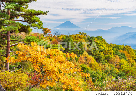 （長野県）紅葉が美しい富士見高原リゾートから望む富士山 95512470