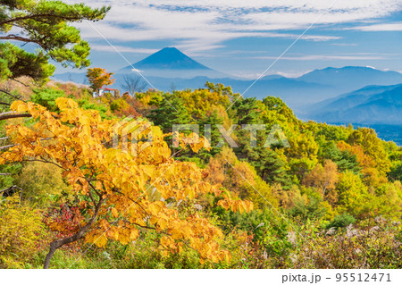 （長野県）紅葉が美しい富士見高原リゾートから望む富士山 95512471