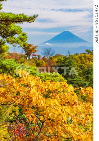 （長野県）紅葉が美しい富士見高原リゾートから望む富士山 95512472