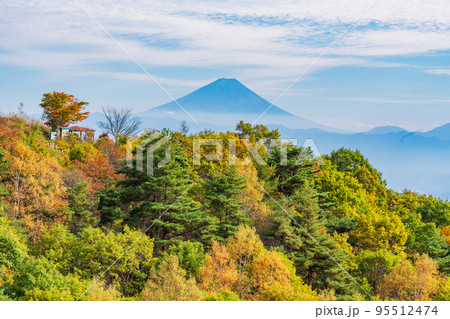 （長野県）紅葉が美しい富士見高原リゾートから望む富士山 95512474