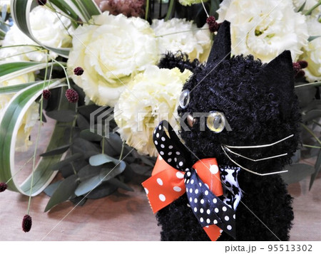 ハロウィン 95513302