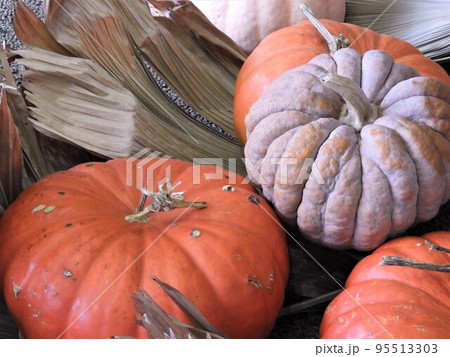 ハロウィン ハロウィン 95513303