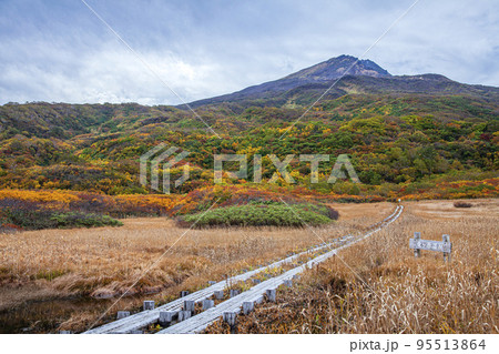 鳥海山竜ヶ原湿原 鳥海山竜ヶ原湿原 95513864