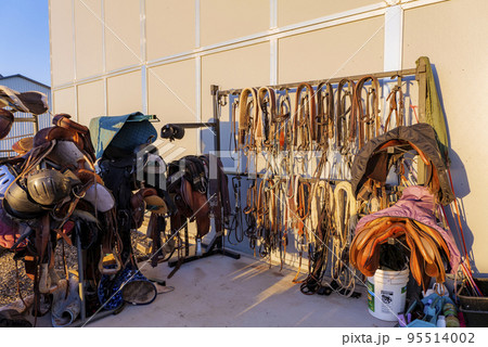 Kits of leather bridles and bats hang on the walls of the stable. Kits of leather bridles and bats hang on the walls of the stable. 95514002