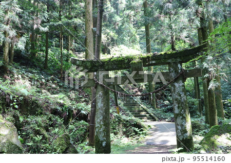 岩戸神社の鳥居 95514160