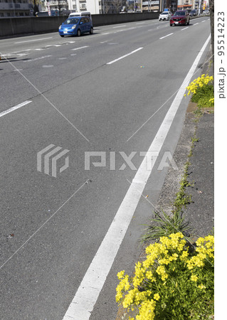 路傍に咲くカタバミと国道を走る車の風景-15 路傍に咲くカタバミと国道を走る車の風景-15 95514223