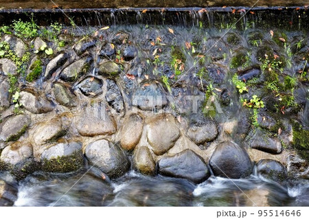 川の流れと飛び石 川の流れと飛び石 95514646