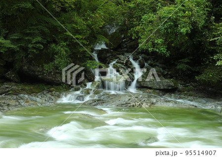 高知県吾川郡仁淀川町大屋　仁淀ブルーの名所安居渓谷　台風で増水した安居川荒男谷付近の景色 95514907