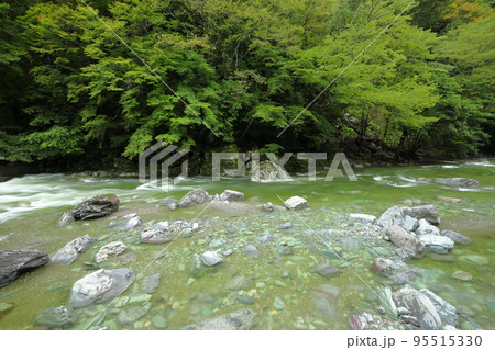 高知県吾川郡仁淀川町大屋 仁淀ブルーの名所安居渓谷 台風で増水した安居川の乙女河原 高知県吾川郡仁淀川町大屋 仁淀ブルーの名所安居渓谷 台風で増水した安居川の乙女河原 95515330