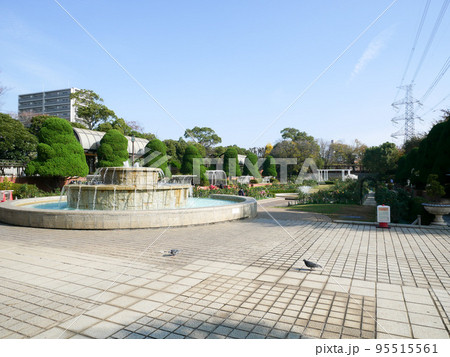 江戸川区　秋の総合レクリエーション公園（2020年11月） 95515561